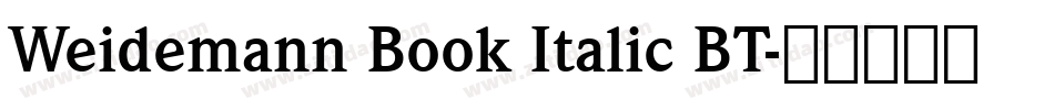 Weidemann Book Italic BT字体转换
